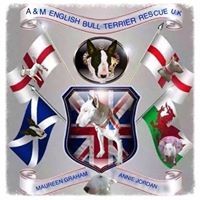 Profile Picture of Gary Curry (@gary-curry-6) on Quora