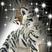 Profile Picture of Traci Schetrompf (@traci.schetrompf.7) on Facebook