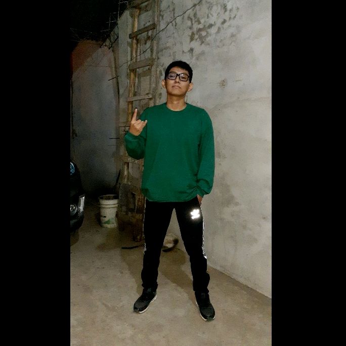 Profile Picture of Jason Josue Condori (@jasonjosuecondorifalon) on Tiktok