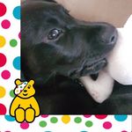 Profile Picture of Shelley Hole (@holeshelley) on Instagram