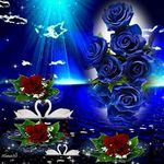 Profile Picture of yolanda arias Hiraldo (@yolandaariashiral) on Instagram