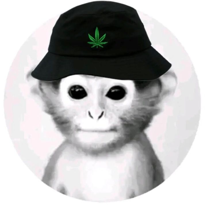 Profile Picture of JohnnyBadger6 (@johnnybadger467) on Tiktok