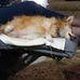 Profile Picture of Peggy Potts (@peggy.potts.940) on Facebook