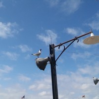 Profile Picture of Georgette White (@georgette-white) on Quora