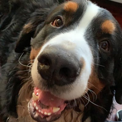 Profile Picture of Paulafiumano (@paulafiumano) on Twitter