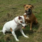 Profile Picture of Christian Emmerson (@christian.emmerson) on Facebook