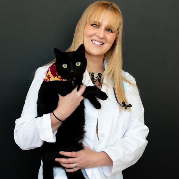 Ashley Zissler - Poshmark Profile Picture of Ashley Zissler (@anzissler) on Poshmark