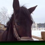 Profile Picture of MYRNA Dunn (@myrnadunnz) on Instagram