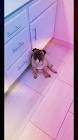 Profile Picture of   Brian Becwar (@brianbecwar)... (@brianbecwar) on Tiktok