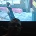 Profile Picture of Adam Selling (@adam.selling.58) on Facebook
