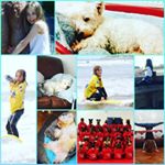 lauren - Instagram Profile Picture of lauren (@forsterlauren942019) on Instagram