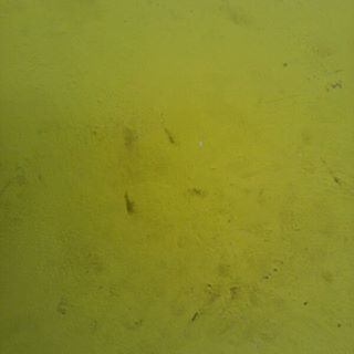 Profile Picture of Julio Coral (@julio.coral.982) on Facebook