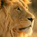 Profile Picture of Floyd Towner (@floyd.towner.96) on Facebook