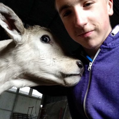 Profile Picture of Jake Hearne (@Elzero123) on Twitter