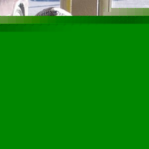Profile Picture of Herm Green (@253018208) on Myspace