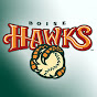 Profile Picture of BoiseHawks (@@BoiseHawks) on Tiktok