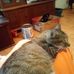 Profile Picture of Cecelia Hightower (@cecelia.hightower.319) on Facebook