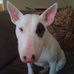 Profile Picture of Kevin Whitten (@kevin.whitten) on Facebook