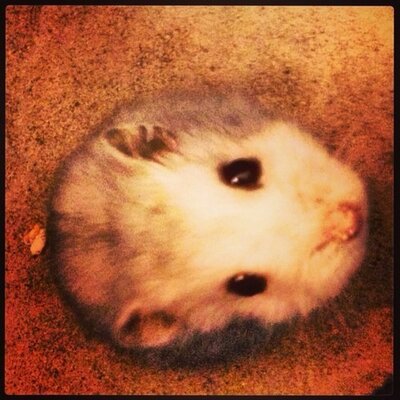 Profile Picture of Colin Tan Yu Zheng (@colinxhero) on Twitter