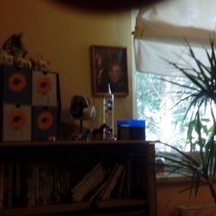 Profile Picture of Robben (@robinhessler0) on Tiktok