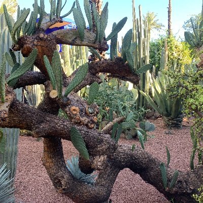 Profile Picture of Lisa Dobbin (@lisadobbin709) on Twitter