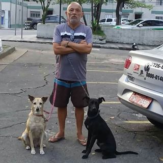Profile Picture of Daniel Gatto (@daniel.gatto.319) on Facebook