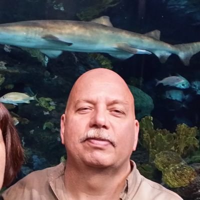 Profile Picture of Mark Bollinger (@MarkBol53068085) on Twitter