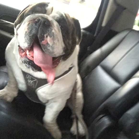 Profile Picture of Mason Palacpac (@masonpalacpac) on Poshmark