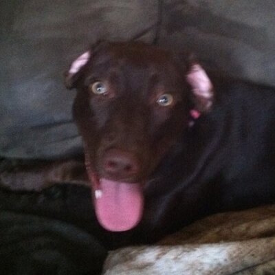 Profile Picture of Hannah Greer (@savannah24112) on Twitter