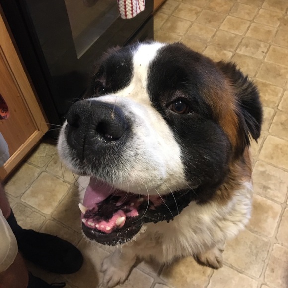 Profile Picture of Cierra Tigard (@cierra_tigard) on Poshmark