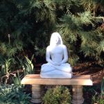 Profile Picture of Kyle Sheridan (@ksheridan888) on Instagram