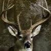 Profile Picture of michaelkeisler6 (@michaelkeisler6) on Tiktok