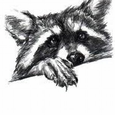 Profile Picture of Susanne Engel (@Mhorhaig) on Twitter