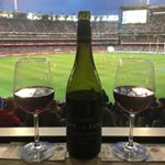 Profile Picture of Peter Nicholls (@picnicholls) on Instagram