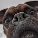 Profile Picture of Martin Marcotte (@martin.marcotte1) on Facebook