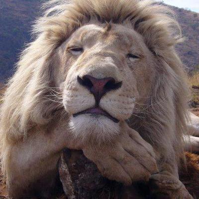 Profile Picture of michael rivett (@michaelrivett7) on Twitter