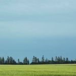 Profile Picture of Laurie Wilcox (@needanid) on Instagram