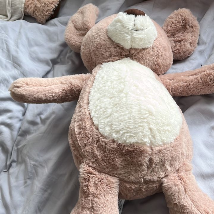 Profile Picture of todd (@todd.the.dog) on Tiktok