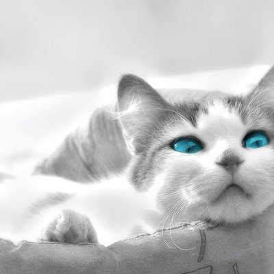 Profile Picture of Kim Joo Hyun (@joohyun_YUE) on Twitter