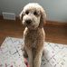Profile Picture of Katie Larson (@katie.larson.581) on Facebook