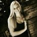 Profile Picture of Carli Johnson (@cjj12) on Pinterest