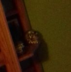 Profile Picture of Aleksander Stepinski (@aleksander.stepinski.9) on Facebook