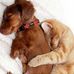 Profile Picture of Gena Seaver (@Gena-Seaver) on Facebook