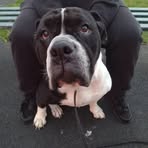 Profile Picture of Bailey Read (@Bailey-Read) on Facebook