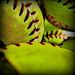 Profile Picture of Haley Mackey (@16sundeviler) on Pinterest