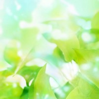 Profile Picture of Ngan Phan (@ngan-phan-12) on Quora