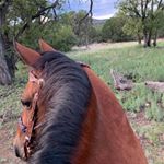 Profile Picture of Dray Arsola (@cora_clementine) on Instagram