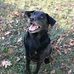 Profile Picture of Keith Schroeder (@keith.schroeder.9659) on Facebook