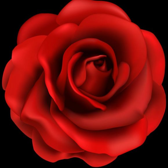 Profile Picture of Sandy Sedlaczek (@sandysed) on Poshmark