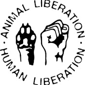 Profile Picture of Alex Stephens (@AlexStephensdemocraticging) on Youtube